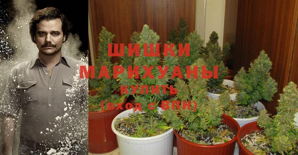 ПСИЛОЦИБИНОВЫЕ ГРИБЫ Бородино