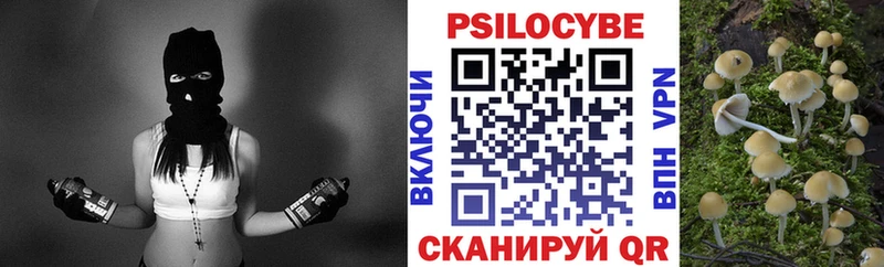 Псилоцибиновые грибы мицелий  продажа наркотиков  Зерноград 
